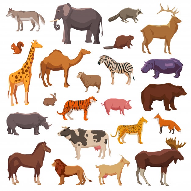 626x626 Animals Vectors, Free In Format
