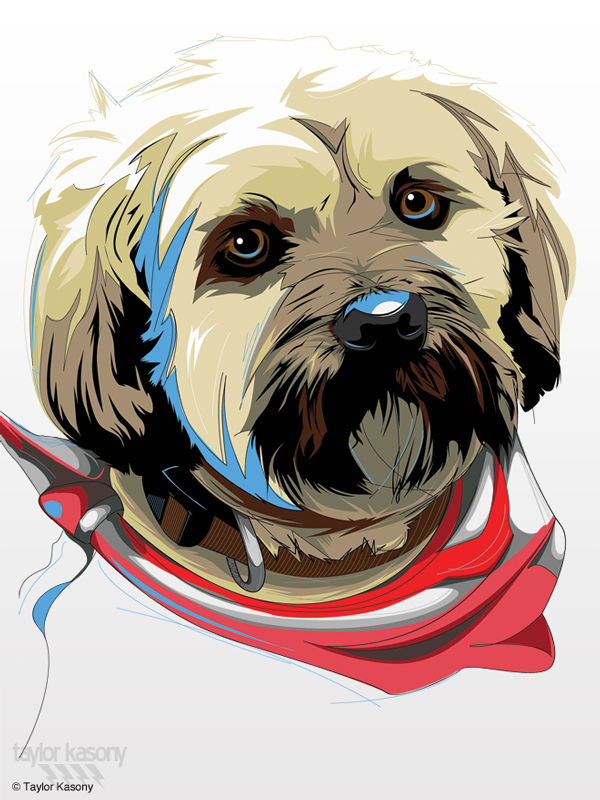 600x800 Inspiring Animal Vector Art Illustrations