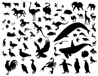 400x309 Animal Silhouette Vector Pack