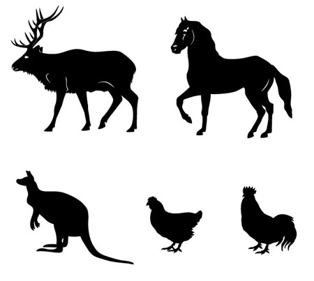 Animal Vector Images