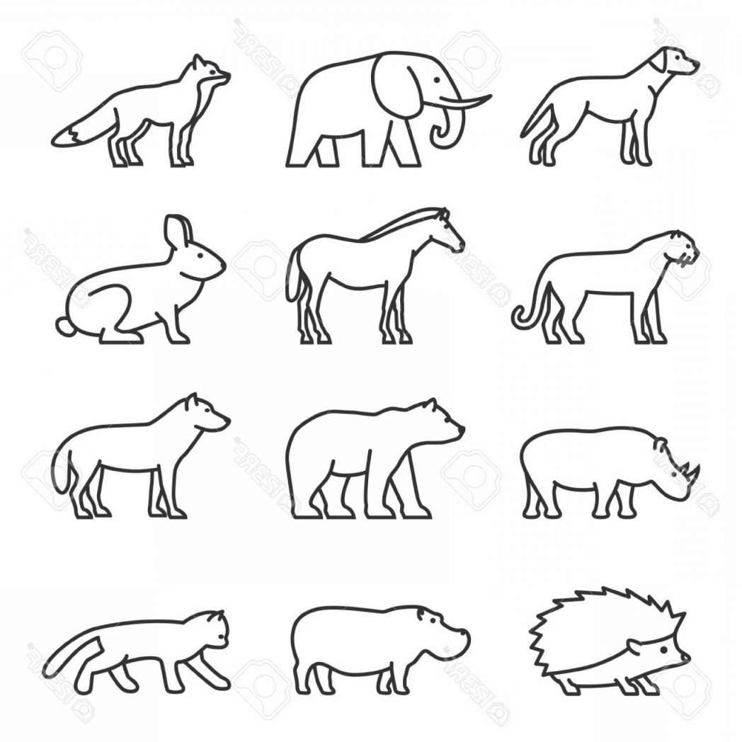 1048x1048 Lion Silhouette Vector Outline Catamart Domestic Animals Pictures