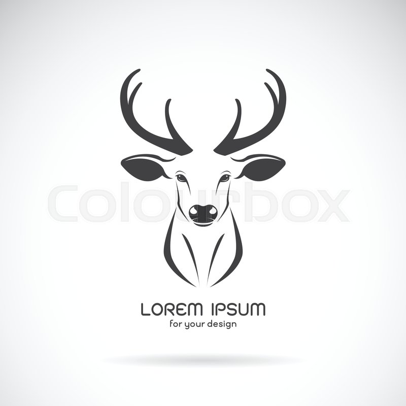 800x800 Vector Image Of A Deer Head Design On Stock Vector Colourbox