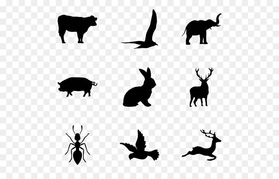900x580 Animals Vector Png Download