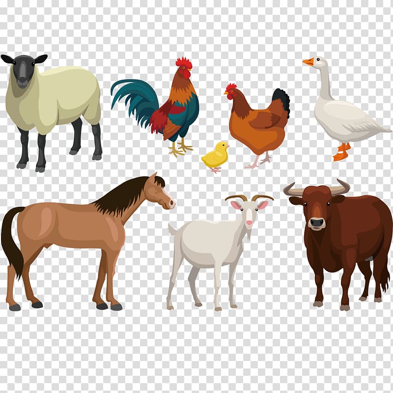 800x800 Assorted Animals Illustration, Cattle Goat Sheep Live, Farm Animal