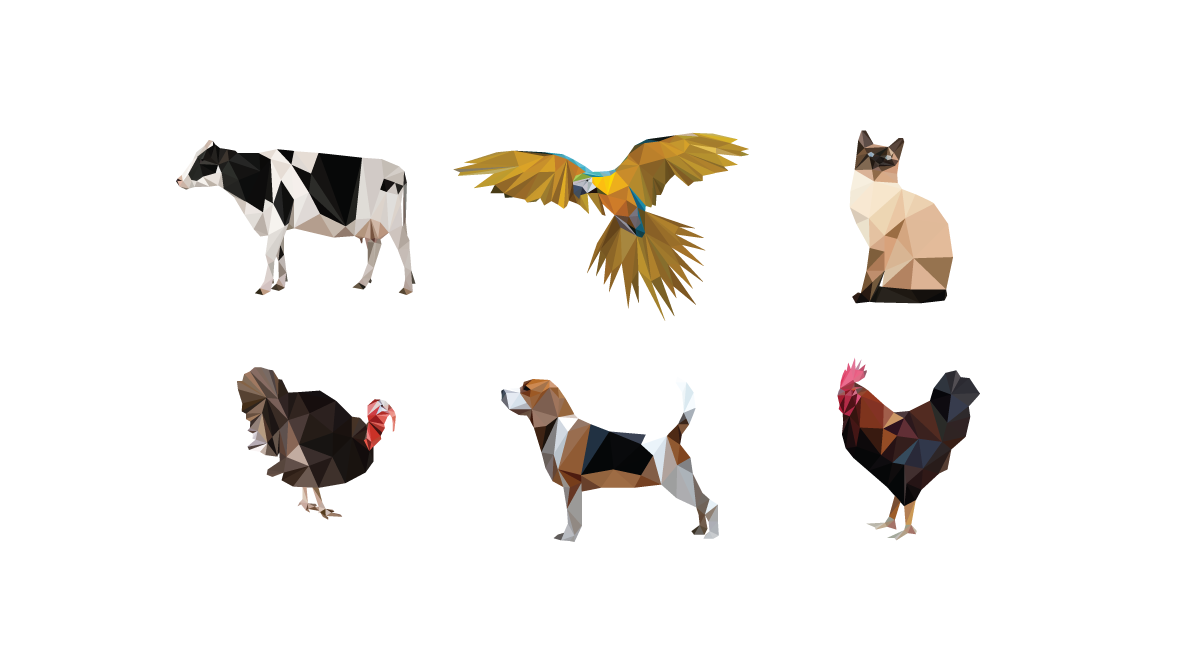 1192x652 Low Polygon Animal Illustrations