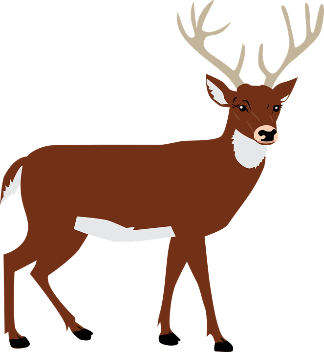 663x720 Animal Vector Png Vector, Clipart