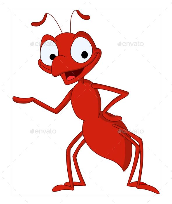 Ant 590x700 Ant