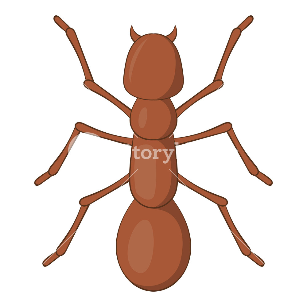 Ant Icon Cartoon Illustration Of Ant Vector Icon For Web Royalty 1000x1000 Ant Icon Cartoon Illustration Of Ant Vector Icon For Web Royalty