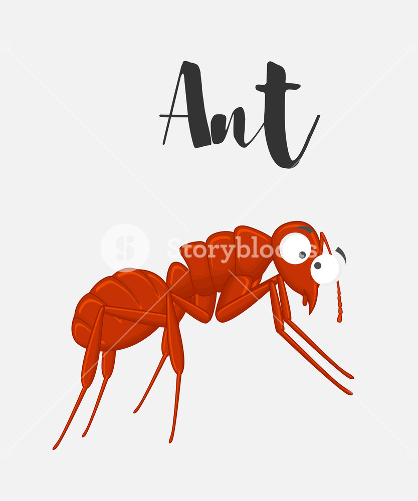 Cartoon Funny Ant Vector Illustration Royalty Free Stock Image 834x1000 Cartoon Funny Ant Vector Illustration Royalty Free Stock Image