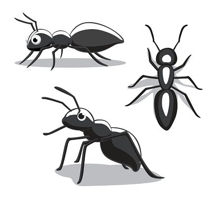 Insect Ant Cartoon Vector Illustration Stock Vectors 426x405 Insect Ant Cartoon Vector Illustration Stock Vectors
