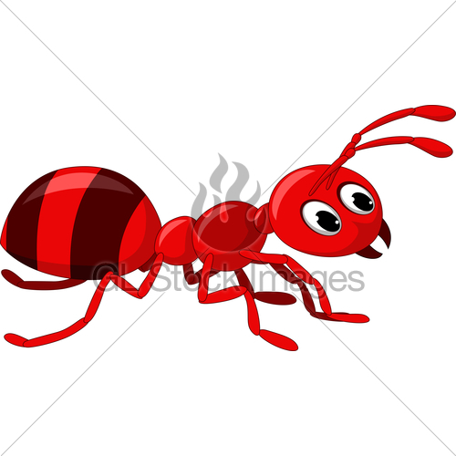 Red Ant Cartoon Gl Stock Images 500x500 Red Ant Cartoon Gl Stock Images
