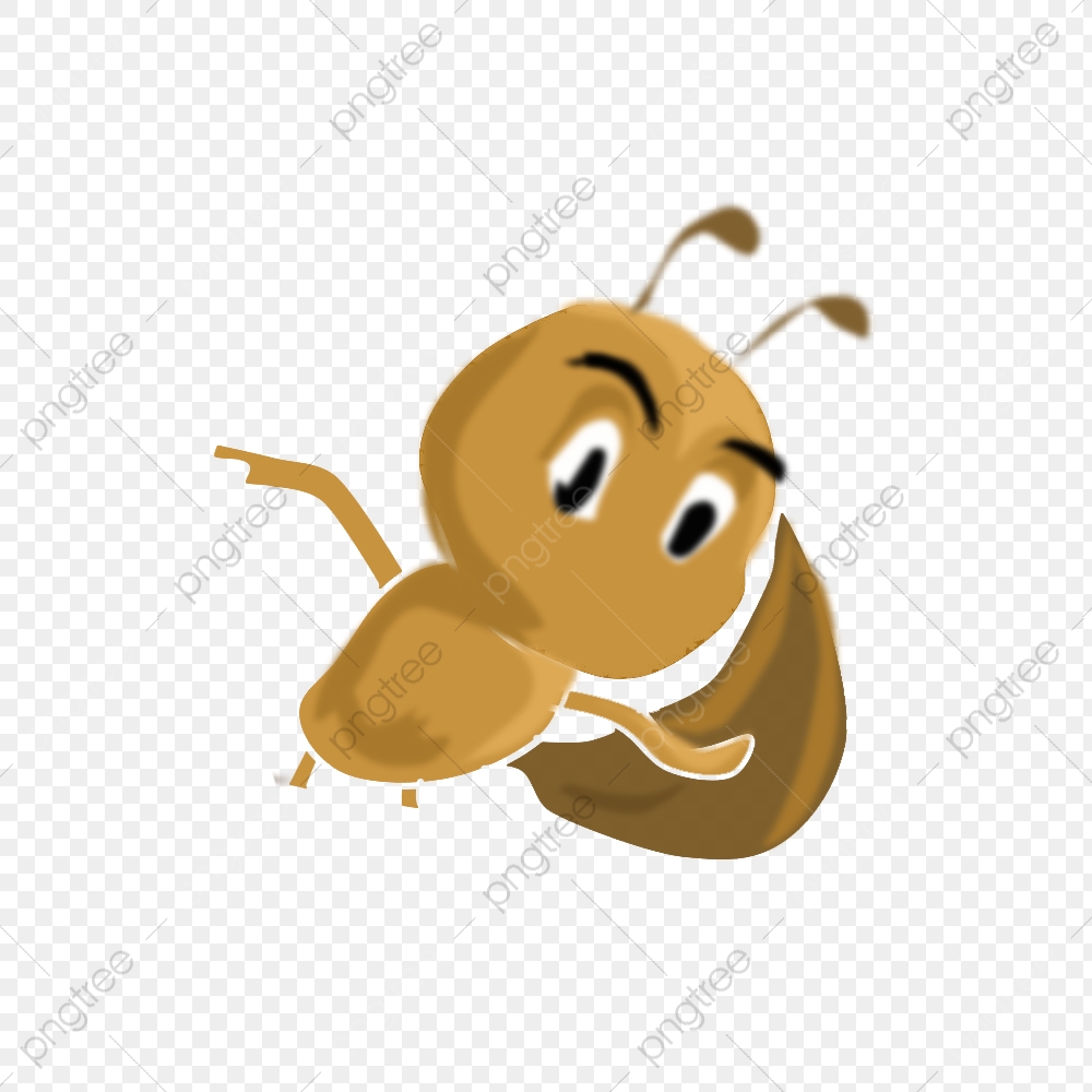 Vector Ants, Ant, Cartoon, Vector Png And Vector With Transparent 1000x1000 Vector Ants, Ant, Cartoon, Vector Png And Vector With Transparent