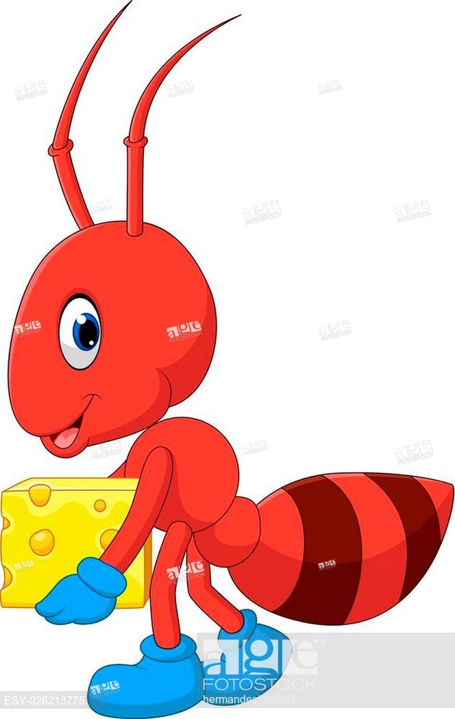 Illustration Of Cute Ant Cartoon, Stock Vector, Vector And Low 664x1049 Illustration Of Cute Ant Cartoon, Stock Vector, Vector And Low