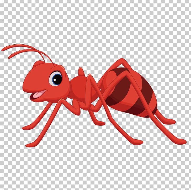 Ant Cartoon Png, Clipart, Ant, Ants, Ants Vector, Art, Decapoda 728x724 Ant Cartoon Png, Clipart, Ant, Ants, Ants Vector, Art, Decapoda