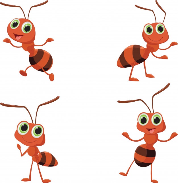 Ant Vectors, Photos And Free Download 626x641 Ant Vectors, Photos And Free Download