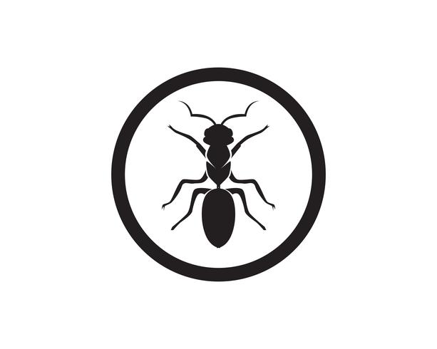 613x490 Ant Logo Template Vector Illustration Design