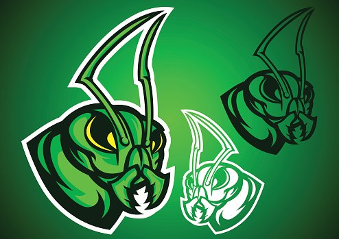 494x349 Grasshopper Ant Green Logo Vector Premium Clipart