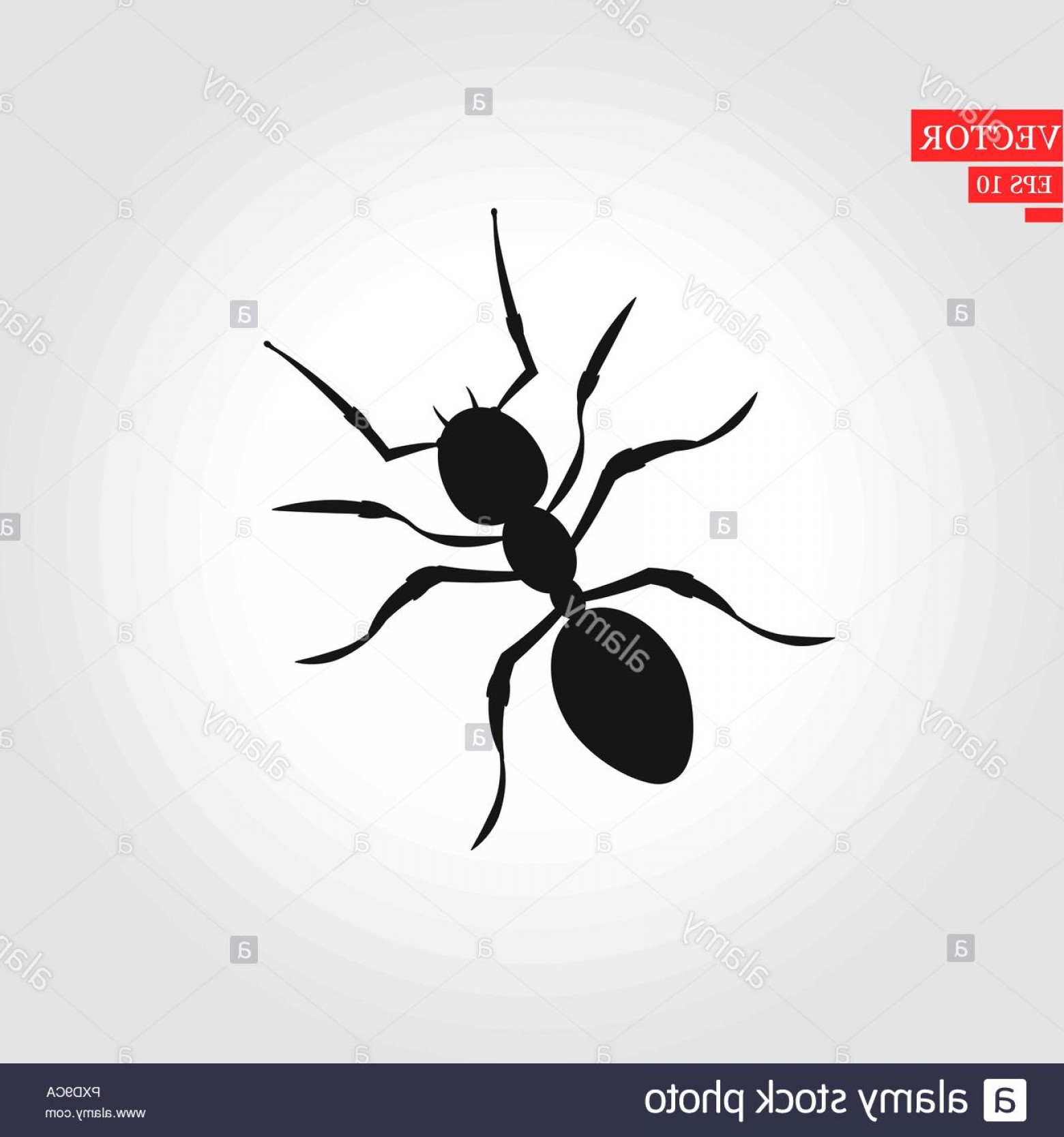 1560x1668 Ant Silhouette Vector Insect In Black And White Concept Image