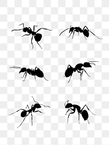 360x481 Ant Vector Png, Vector, And Clipart With Transparent