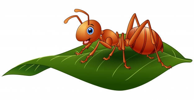 626x323 Ant Vectors, Photos And Free Download
