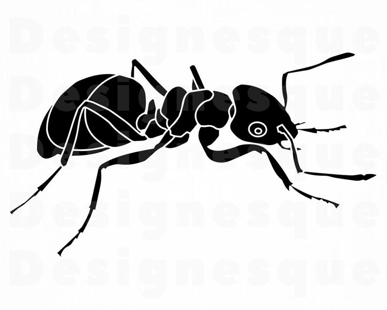 794x635 Ant Clipart Silhouette Vector For Free Download And Use Images