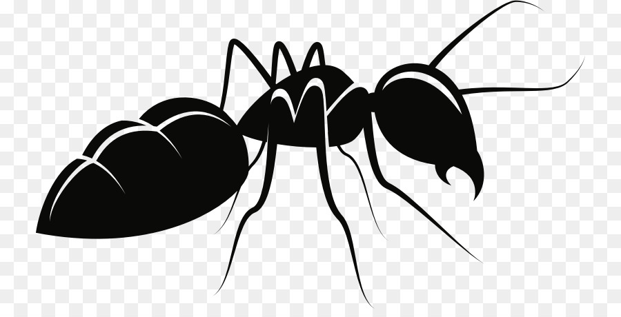 900x460 Ant Clipart Vector Graphics For Free Download And Use Images