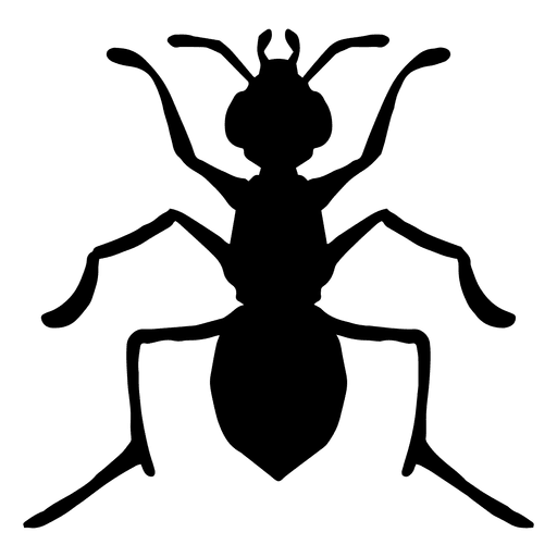 512x512 Ant Silhouette