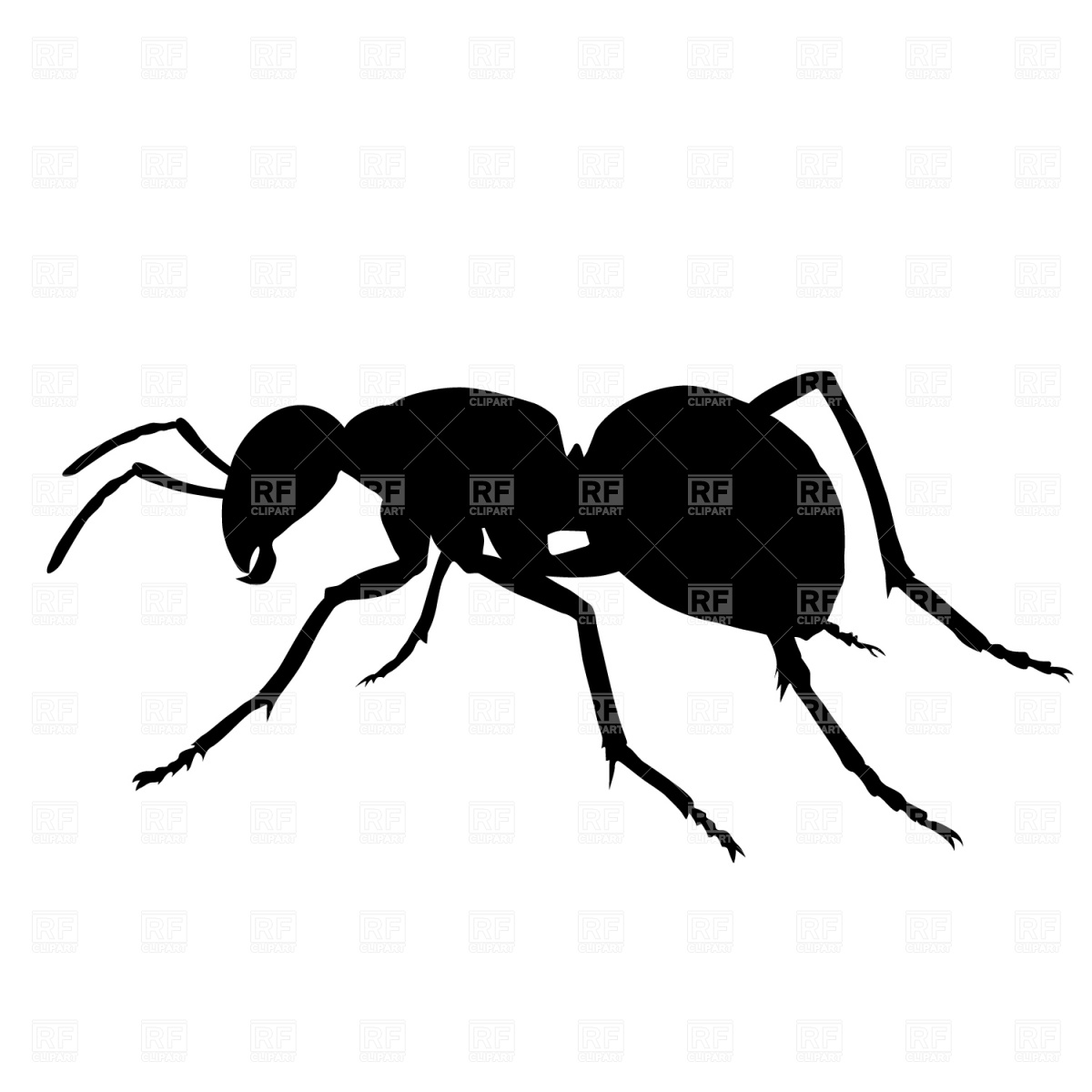 1200x1200 Ant Silhouette Vector Image Of Plants And Animals Prague