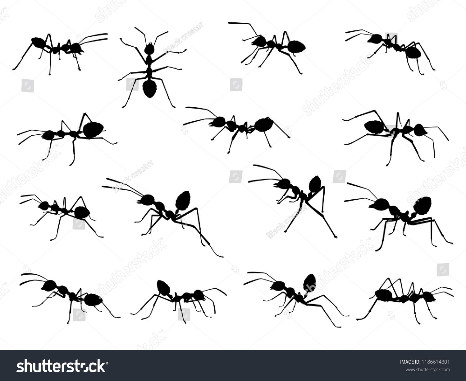 1500x1225 Ant Silhouette Vector Insect In Black And White Concept
