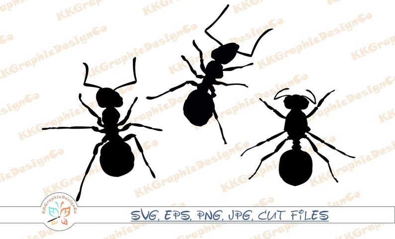 794x481 Ant Ant Vector Ant Clipart Insect Ants Ant Cricut Etsy