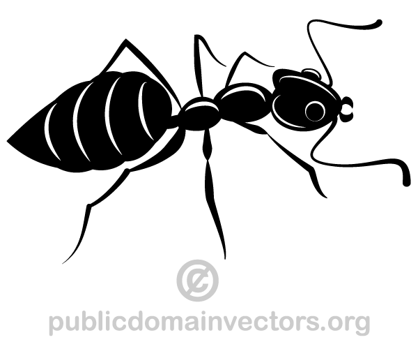 600x500 Ants Silhouette Vector