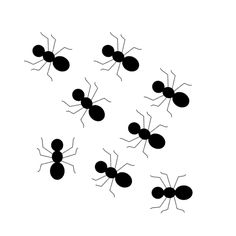 236x236 Download Ant Silhouette Vector Graphics Png Image Clipart Png Free