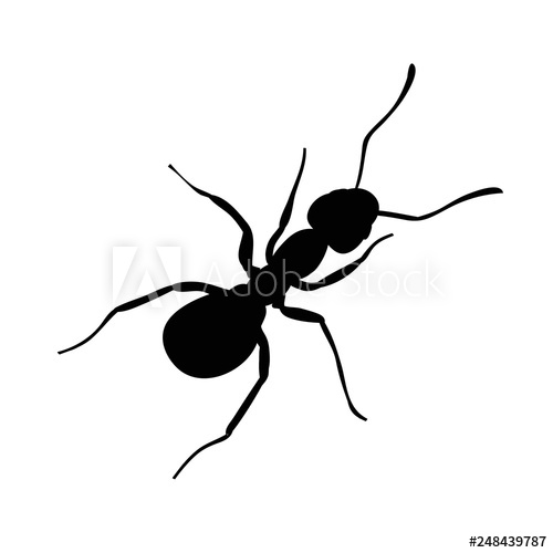 500x500 Ant Silhouette, Insect, Isolated
