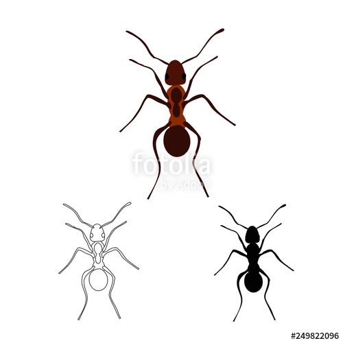 500x500 Brown Ant, Silhouette And Sketch Stock Image And Royalty Free