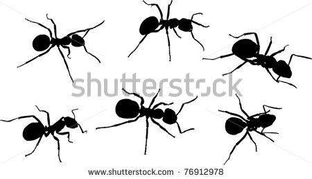 450x258 Illustration With Ant Silhouettes Isolated On White Background