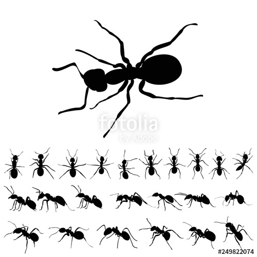 500x500 Set Of Ants Silhouettes Stock Image And Royalty Free Vector