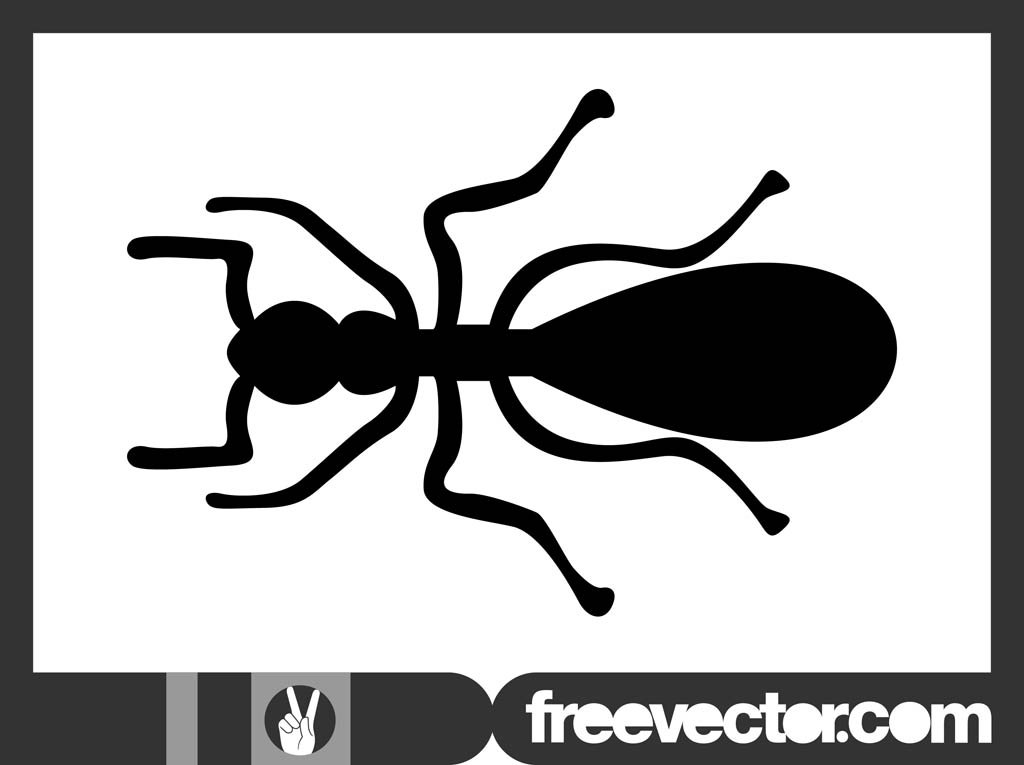 1024x765 Ant Silhouette Graphics Vector Art Graphics