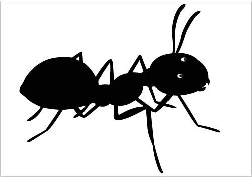 Ant Vector