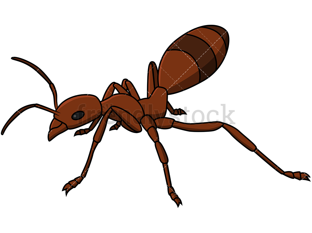 1067x800 Brown Ant Cartoon Vector Clipart
