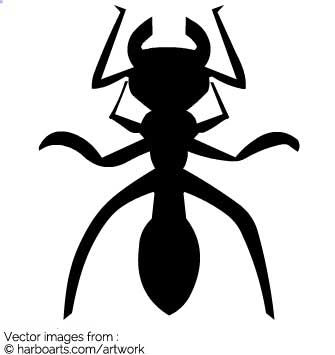 335x355 Download Ant