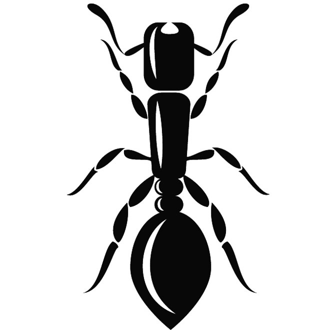660x660 Ant Vector Illustration