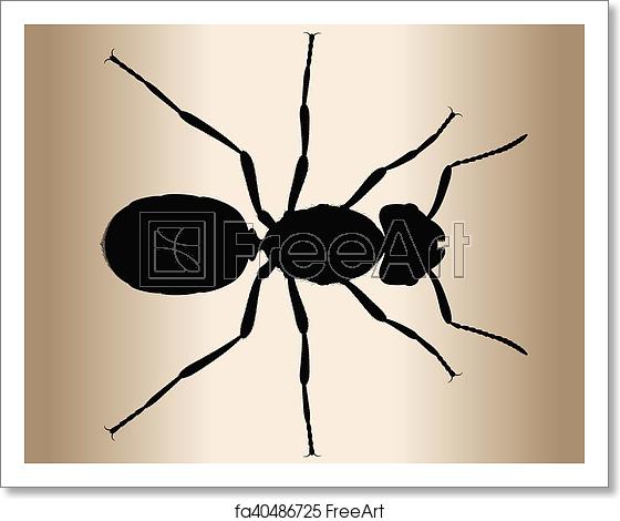 560x470 Free Art Print Of Queen Of The Ant Vector Illustration Of An Ant