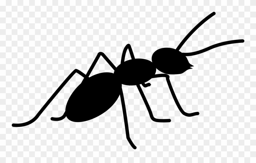 880x560 Vector Ant