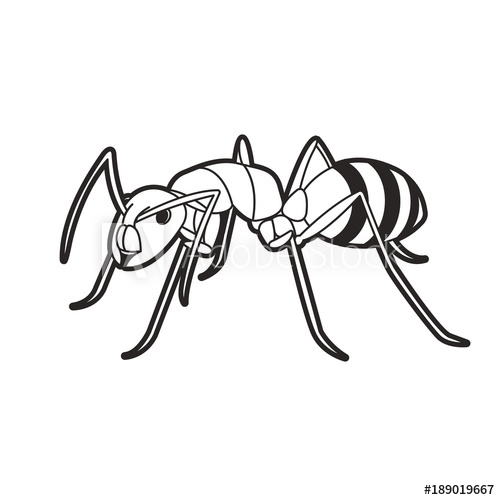 500x500 Black Outline Ant Vector Cartoon