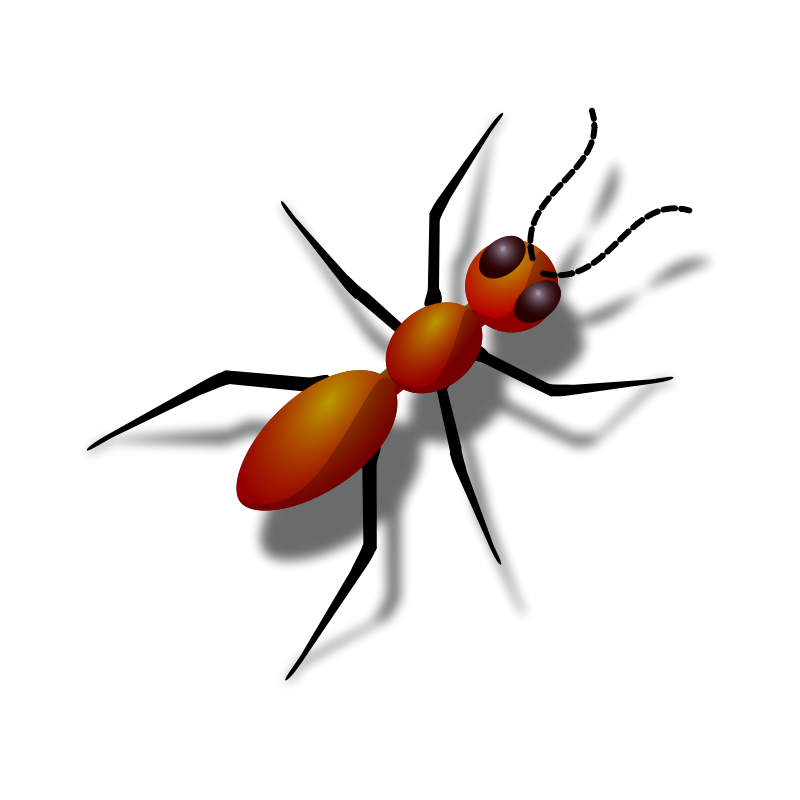 800x800 Ant