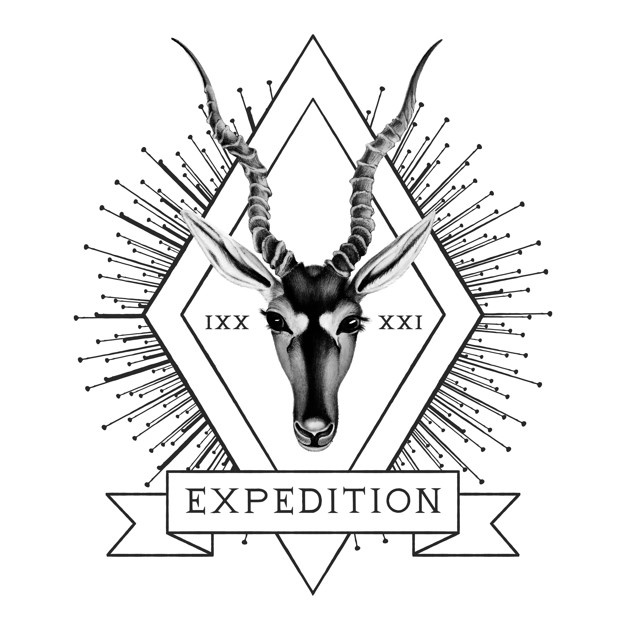626x626 Antelope Vectors, Photos And Free Download