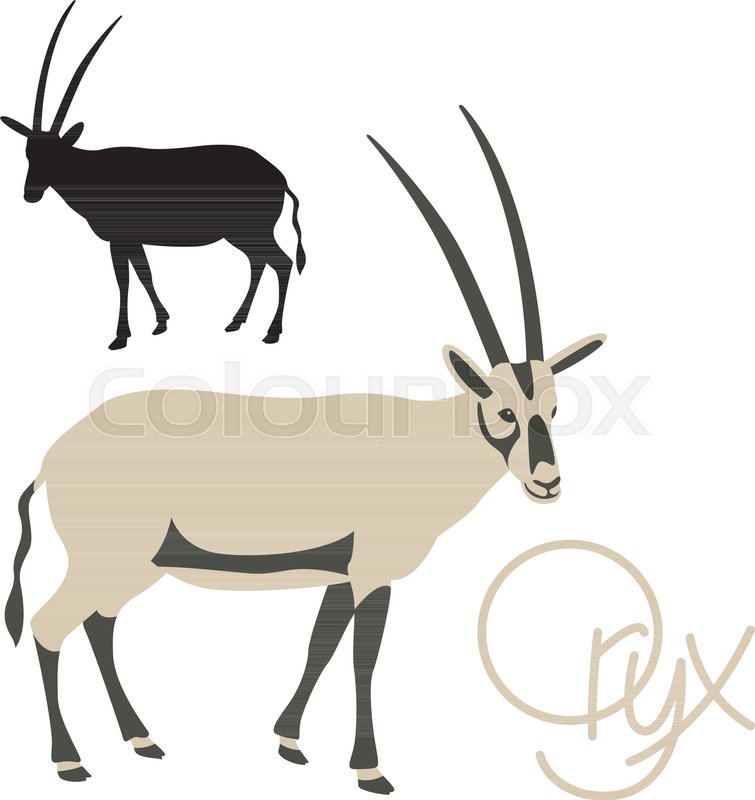 755x800 Antelope Oryx Vector Illustration Flat Stock Vector Colourbox