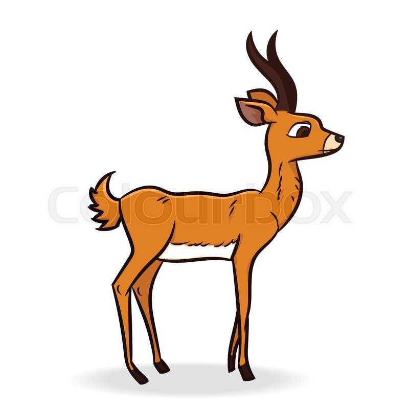 800x800 Cute Antelope Cartoon, Isolated On Stock Vector Colourbox