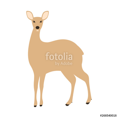 500x500 Antelope Vector Illustration,flat Style,front Stock Image