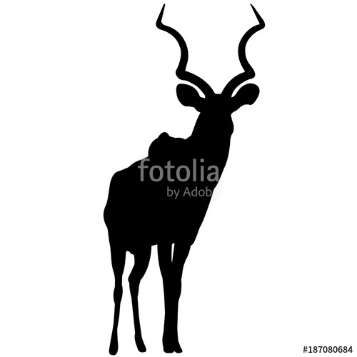 500x500 Antelope Stock Image And Royalty Free Vector